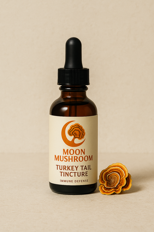 Turkey Tail Mushroom Tincture – 100% Pure Extract – Immune Support & Gut Health