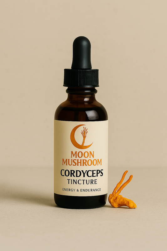 Cordyceps Mushroom Tincture – Energy, Endurance & Immunity | 100% Pure Extract